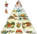Turneul Alimentatiei Sanatoase continua!